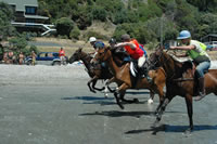 onetangi beach races, 2009 691